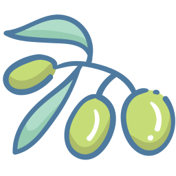 olive_11346464